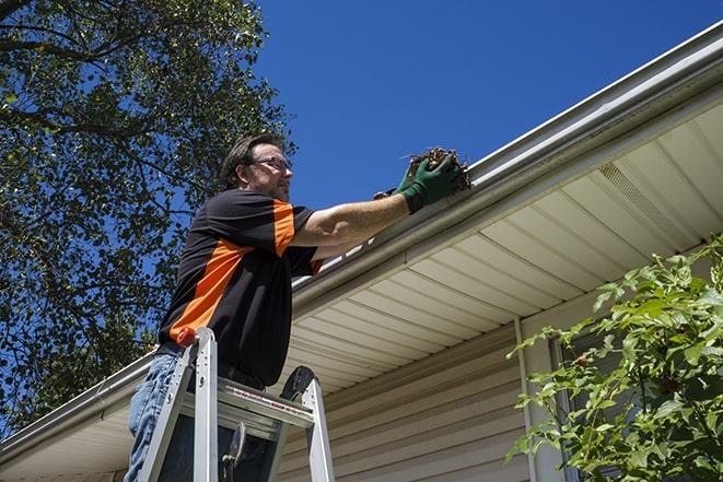 attentive worker clearing debris from the gutter in Hickman